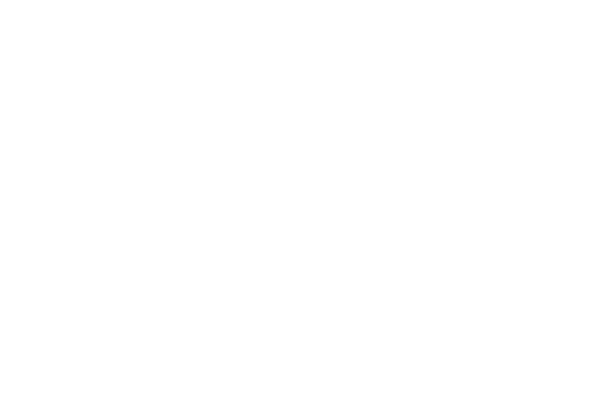 Flying Wild Hog