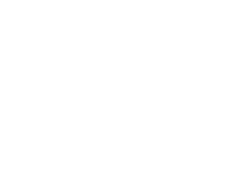 Flying Wild Hog